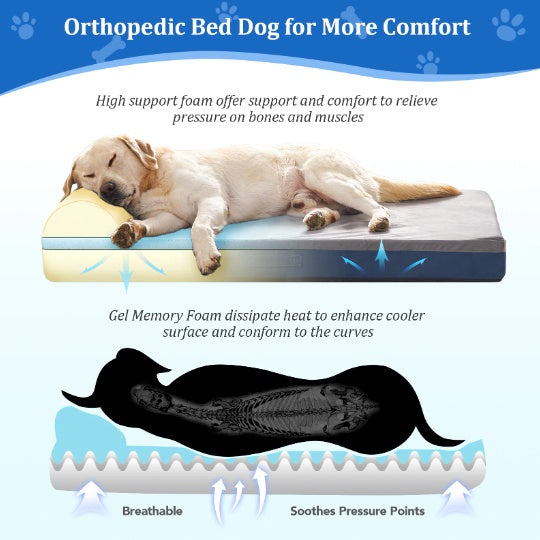 Large Orthopedic Dog Bed With Pillows SHOPEVERR CJ